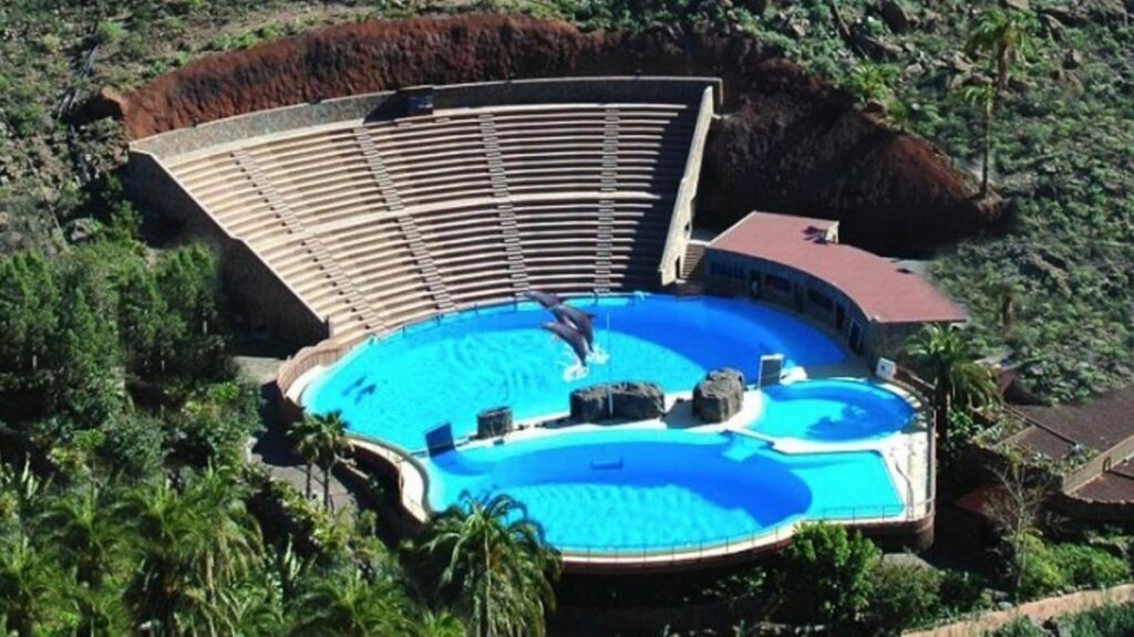 deweloper palmitos park w ostatecznosci odwoluje sie do sadu najwyzszego aby uniknac wyburzenia nielegalnego delfinarium