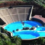 deweloper palmitos park w ostatecznosci odwoluje sie do sadu najwyzszego aby uniknac wyburzenia nielegalnego delfinarium