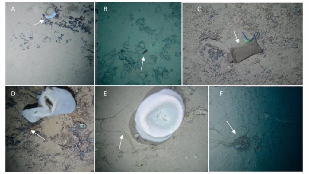 instytut oceanograficzny analizuje smieci znalezione na gorze podwodnej w chronionym obszarze lanzarote