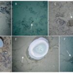 instytut oceanograficzny analizuje smieci znalezione na gorze podwodnej w chronionym obszarze lanzarote