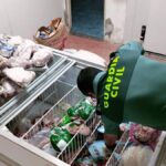 ponad 5 700 przeterminowanych i zepsutych produktow spozywczych skonfiskowanych w sklepie na gran canarii