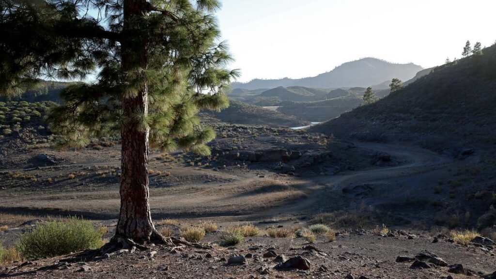 gran canaria aktywuje plan awaryjny przed pozarami