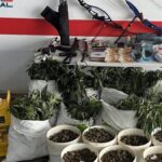 policja zlikwidowala nielegalna farme marihuany na wyspach kanaryjskich