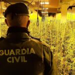 policja rozbija nielegalna siec handlu marihuana w arrecife