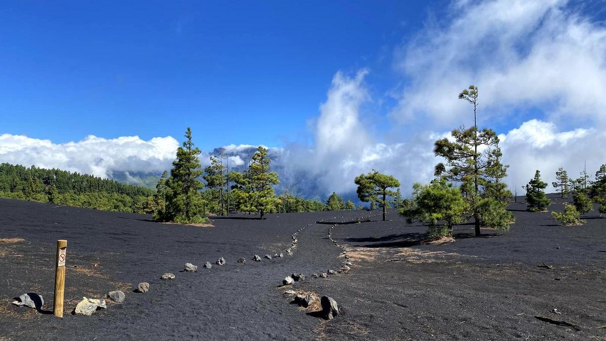 la palma aktualności