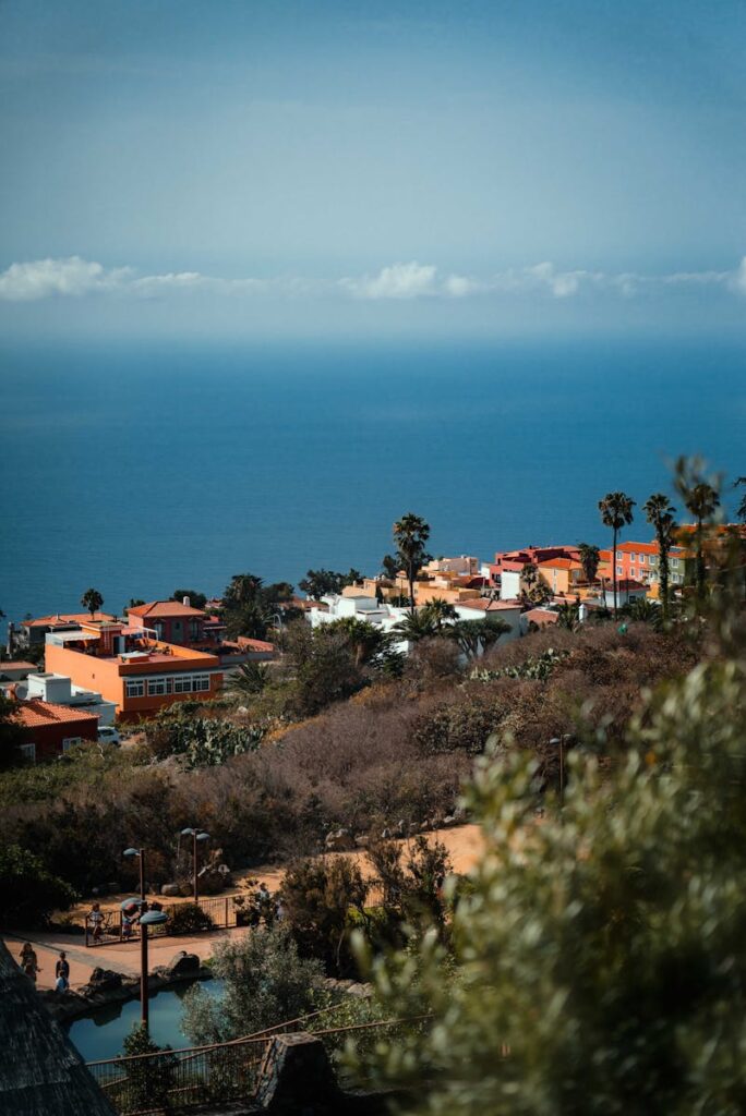 Explore the picturesque landscapes of Santa Cruz de Tenerife with vibrant houses and palm trees against a vast ocean backdrop.