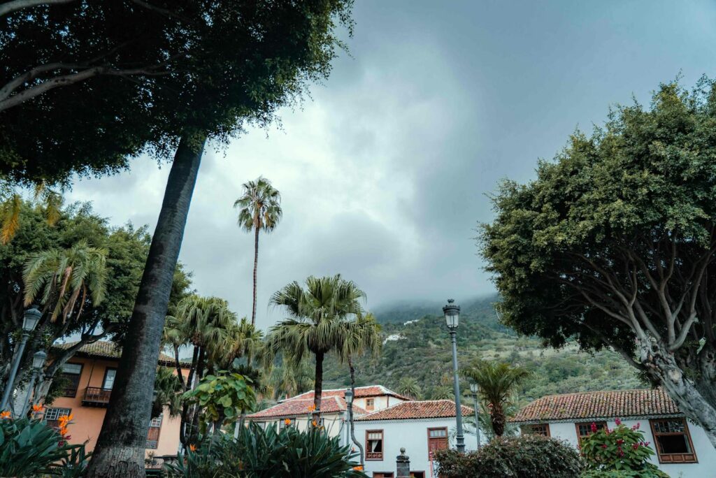 Explore the lush greenery and traditional architecture of Icod de los Vinos, Spain under a cloudy sky.