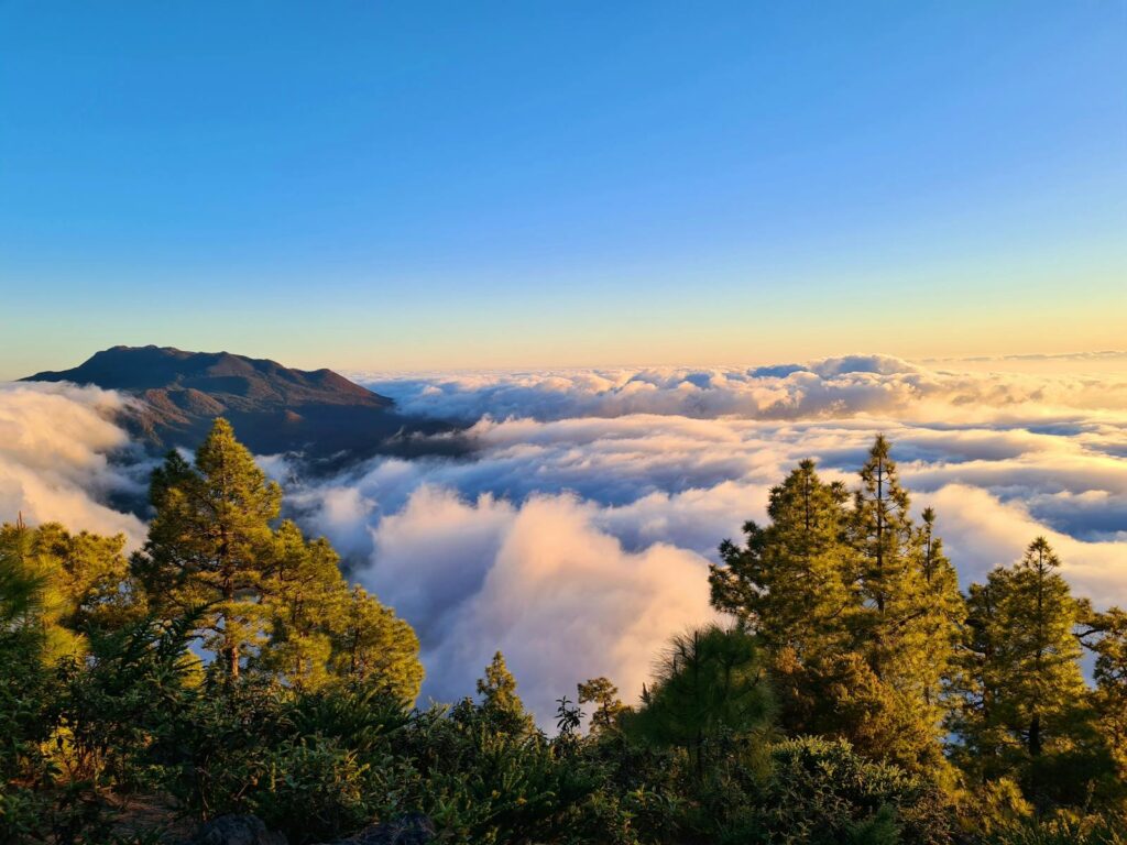 Breathtaking view of La Palma's mountains under a vibrant sky with lush greenery.