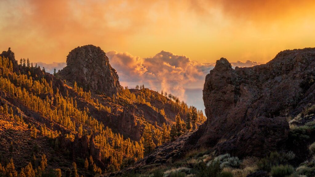 Beautiful sunset over rugged Tenerife mountains with vibrant clouds and lush pine trees.