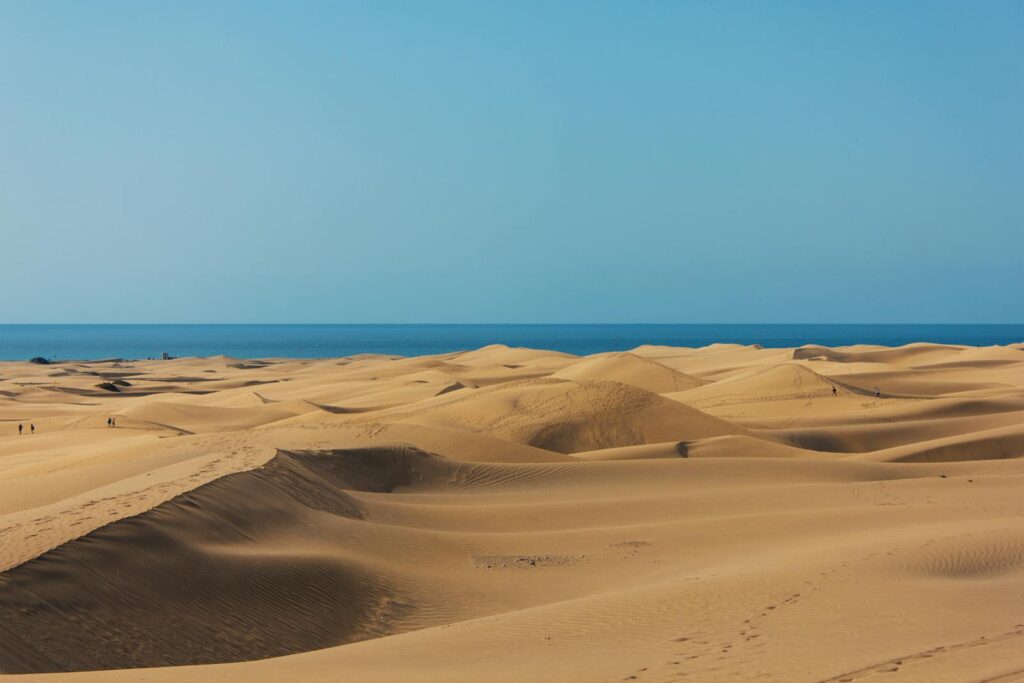 A stunning view of vast sand dunes extending toward the ocean under a clear blue sky.