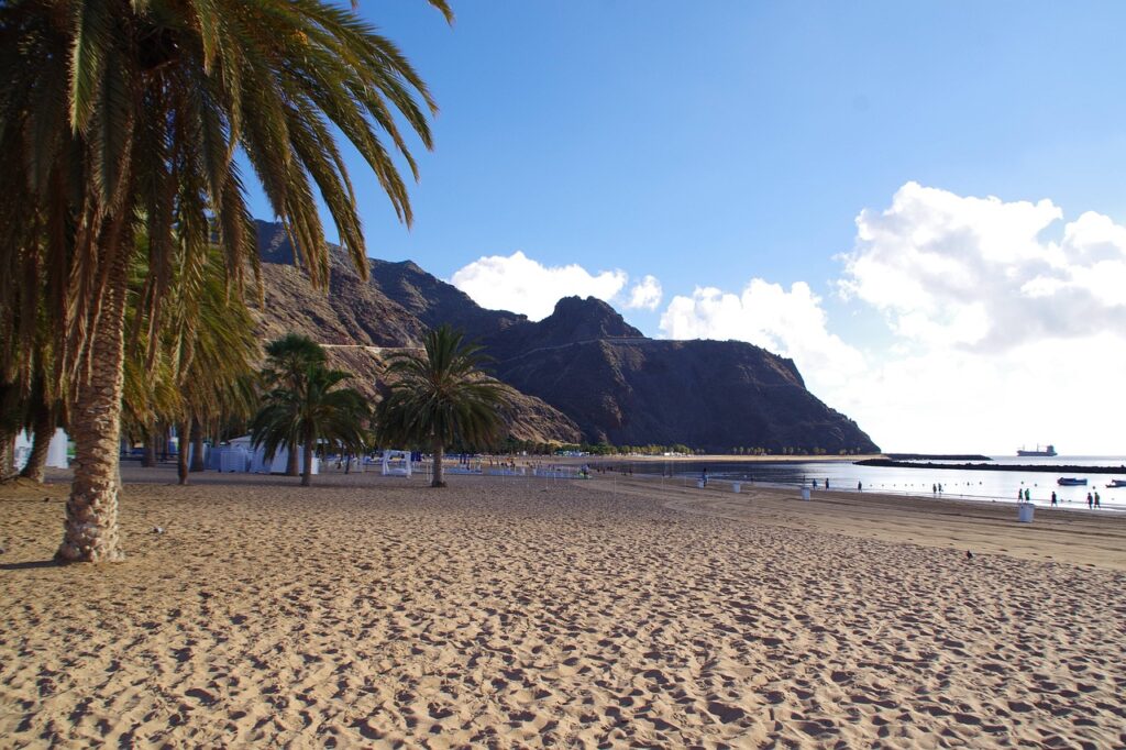 tenerife, las teresitas, water, beach, sandy beach, coast, palm trees, canary islands, mountains, sea, bay, sandy bay, island, vacations, tenerife, tenerife, nature, tenerife, tenerife, tenerife, las teresitas