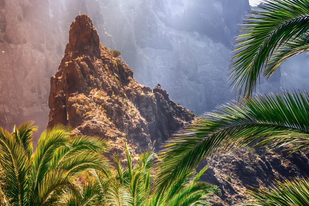 masca, tenerife, canary islands, masca gorge, rock, hike, backlighting, mountains, mountain village, mountain, sun, landscape, nature, palm trees, southern, steep, tenerife, tenerife, tenerife, tenerife, tenerife, canary islands, canary islands