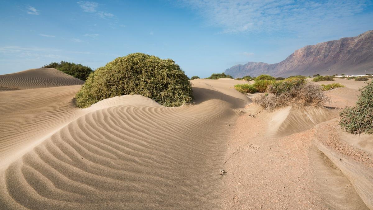 lanzarote aktualności