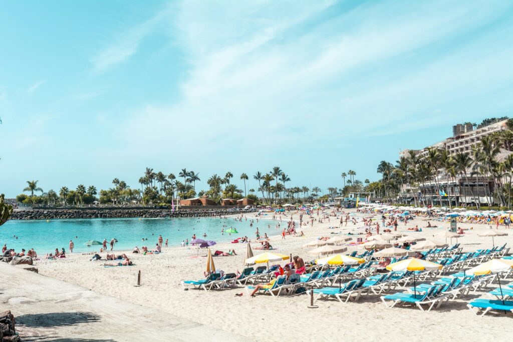 people on shore during daytime