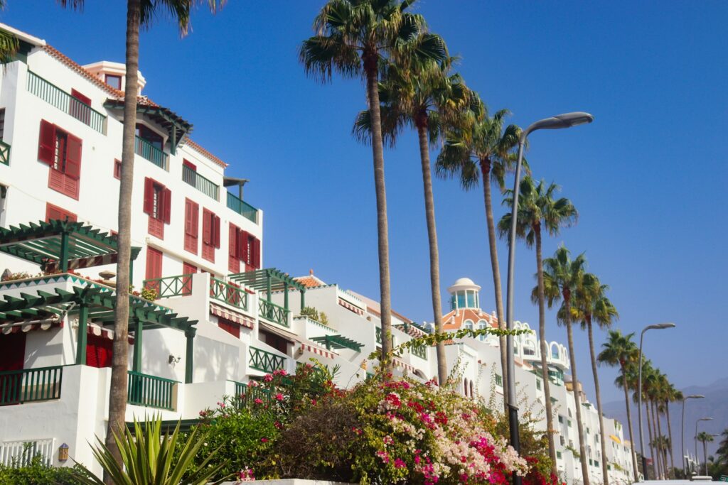 a row of palm trees next to a white building