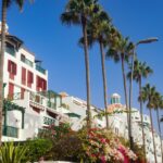 a row of palm trees next to a white building