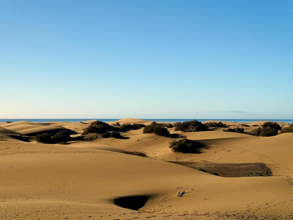 Explore the tranquil sand dunes of Maspalomas in Gran Canaria under a clear blue sky.