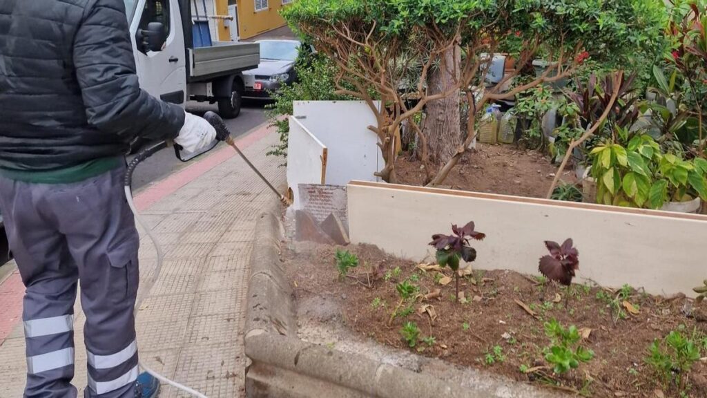 las palmas zwieksza walke ze szkodnikami o 69 w 2025 roku