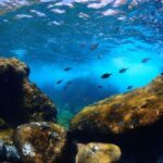 hiszpania utworzy pierwszy morski park narodowy na el hierro