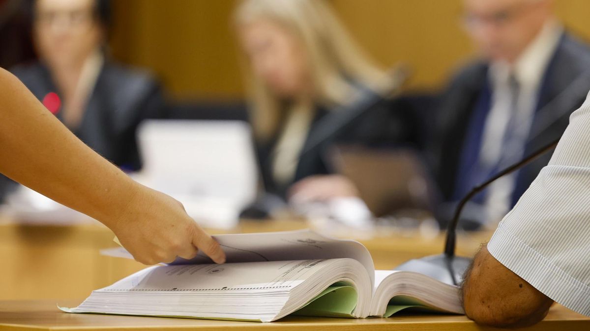 Emalsa proces korupcyjny