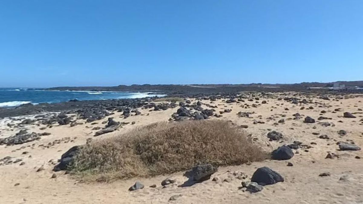 ochrona środowiska naturalnego Fuerteventura
