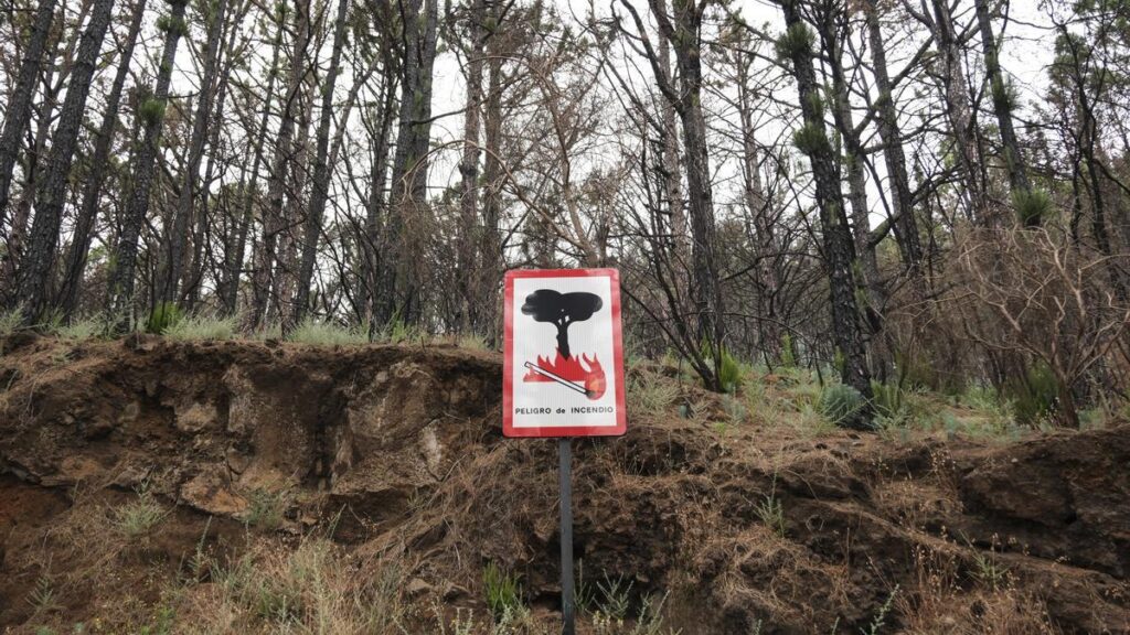 alert pogodowy na wyspach kanaryjskich wysokie ryzyko pozarow