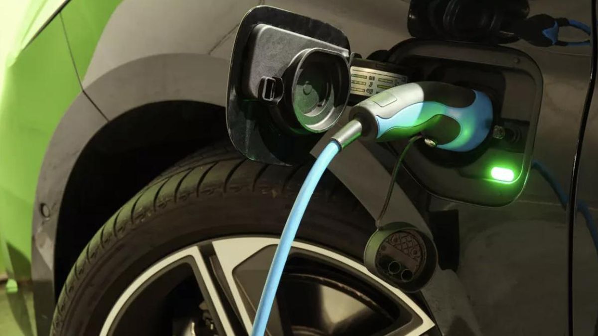 rejestracje pojazdów elektrycznych na Wyspach Kanaryjskich
