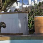 atak psow na lanzarote zginely cztery koty ranny czlowiek