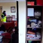 guardia civil rozbila gang na teneryfie ukradli 290 tys euro