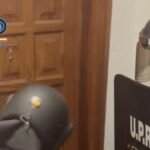 rozbito siec handlu ludzmi na teneryfie uwolniono kobiety