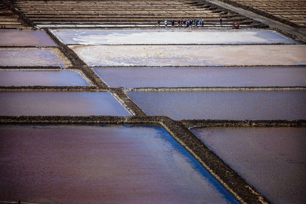 A picture of a field that is covered in snow