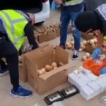 rozbito potezna siatke narkotykowa na lanzarote