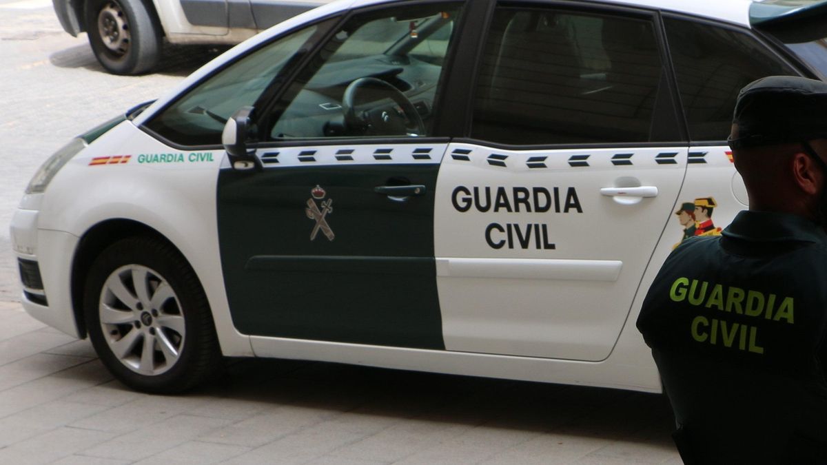 znęcanie nad zwierzętami Gran Canaria
