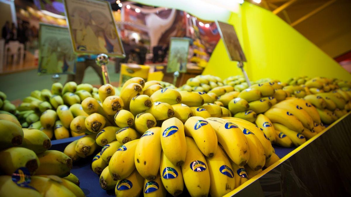 ceny bananów Wyspy Kanaryjskie