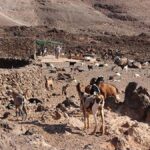 fuerteventura projekt agrofuer polaczy turystyke z rolnictwem