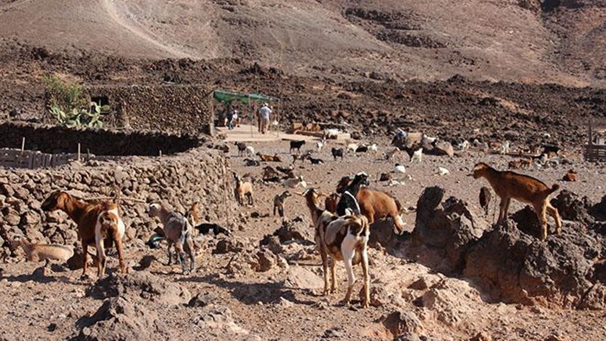 AgroFuer Fuerteventura turystyka