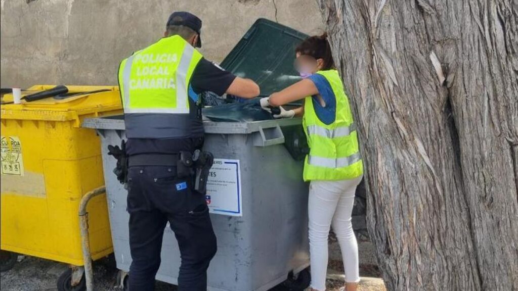 makabryczne odkrycie w telde szesc martwych psow w smietniku