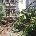 spadla galaz uszkodzila auto na plaza del principe