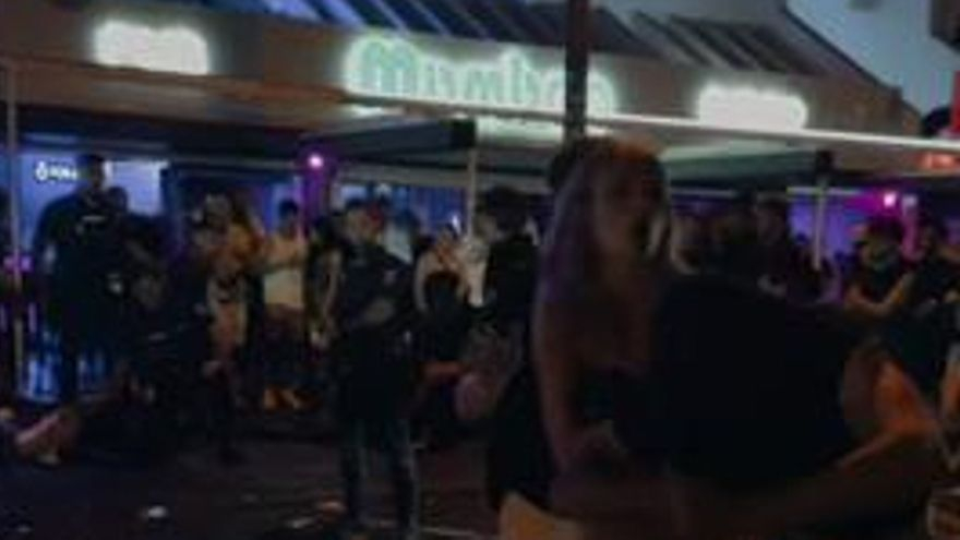 brutalna bojka turystow w las veronicas wstrzasnela teneryfa
