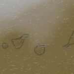 Upały i mgła na Kanarach. AEMET wydała ostrzeżenia do piątku