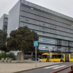 Zabił psa partnerki. Sąd orzekł o przemocy zastępczej