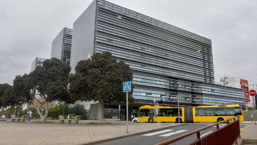 Zabił psa partnerki. Sąd orzekł o przemocy zastępczej