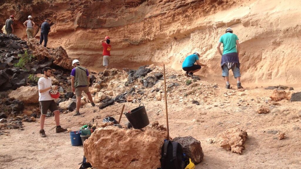 rewolucja w paleontologii skamieniale jaja z lanzarote to nie strusie