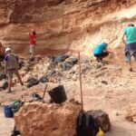 rewolucja w paleontologii skamieniale jaja z lanzarote to nie strusie
