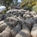 gran canaria jak dziala rezerwat biosfery unesco