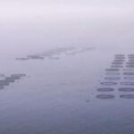 Koniec farmy rybnej na Lanzarote. Sąd potwierdził zamknięcie