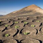 Lanzarote docenione przez FAO za unikalne rolnictwo