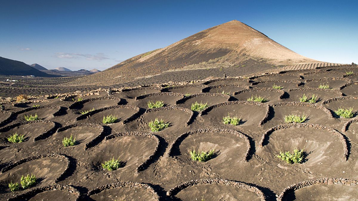 Lanzarote system dziedzictwa rolniczego FAO