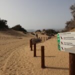 Maspalomas: 378 tys. euro na ochronę wydm Gran Canarii