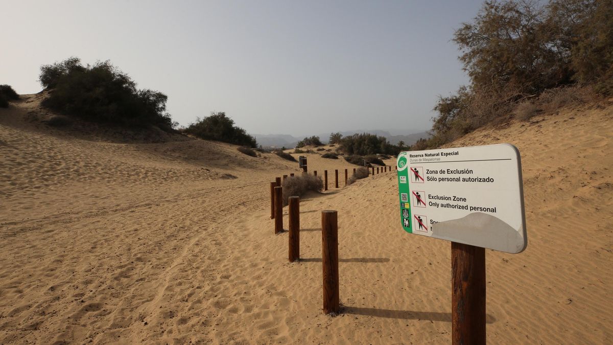 Rezerwat Przyrody Wydm Maspalomas